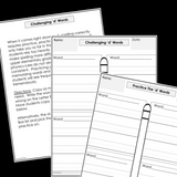 Modified Spelling Activities | Featuring 'd' Words | For 4th Grade