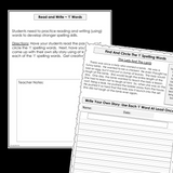 Modified Spelling Activities | Featuring 'l' Words | For 4th Grade